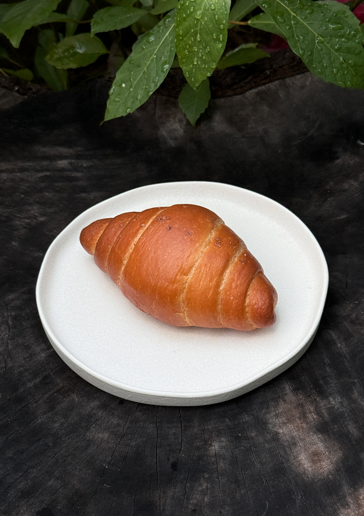 Sourdough Shiopan